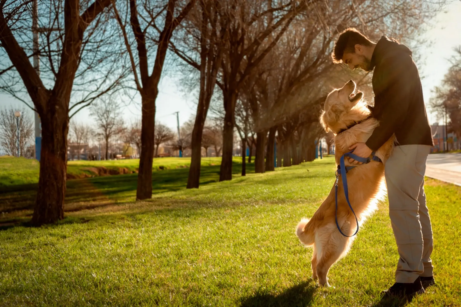 Owner walking with their dog on a bright countryside path